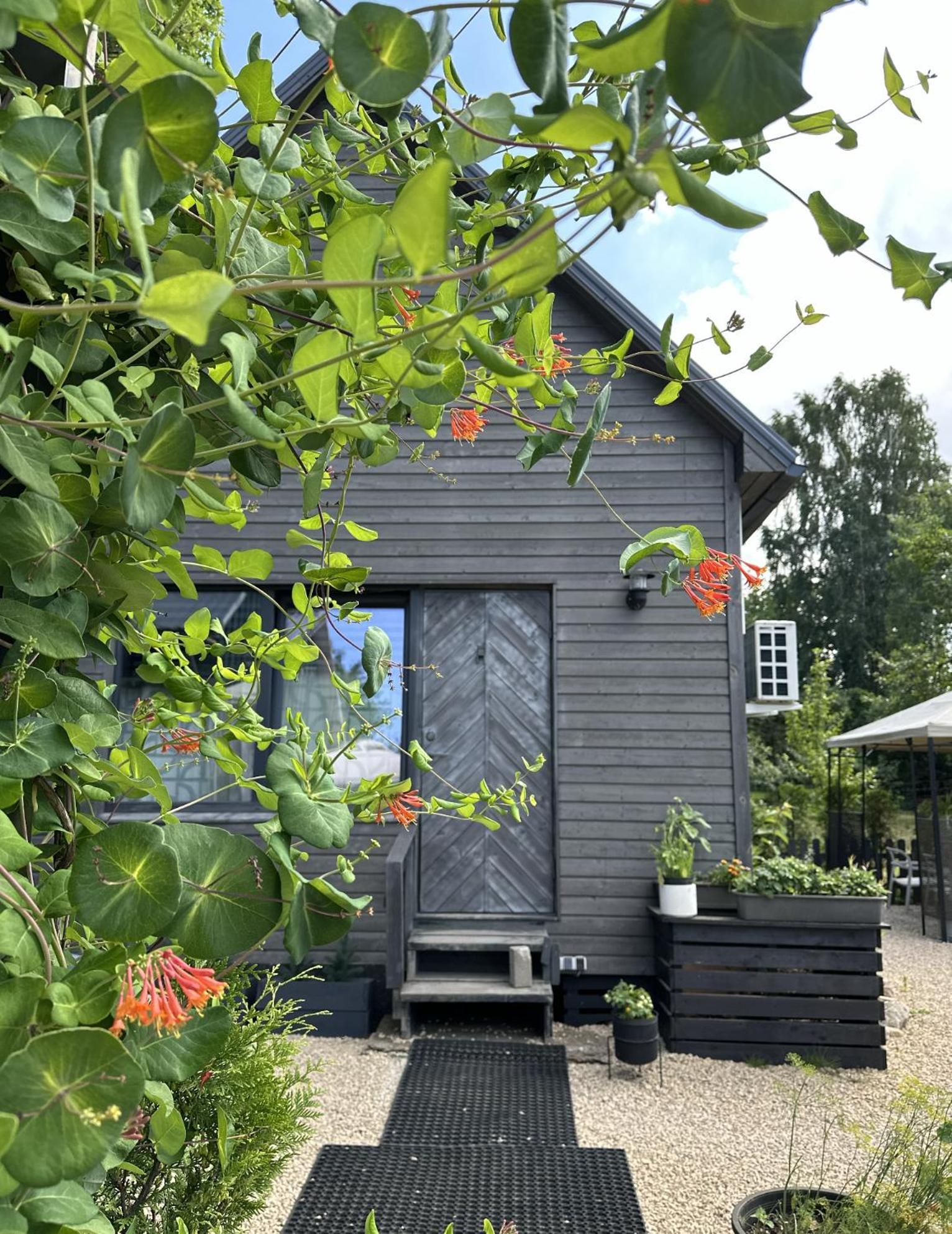 Amazing Little House On An Island With Garden Villa Rīga Exterior foto